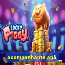 acompanhante anâ